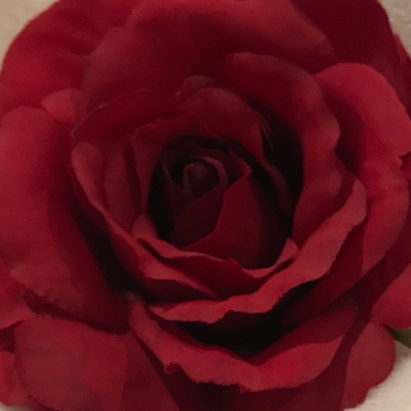 Lovely Aly in Caly β₯οΈ - Picture 17 of 17